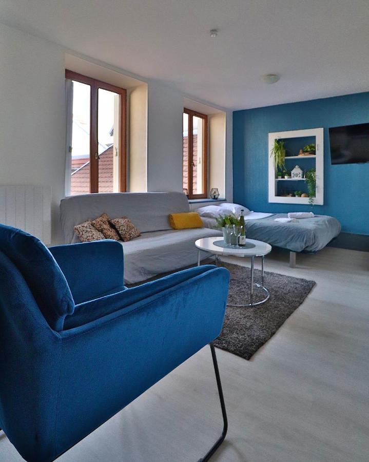 Studio De 30M² Hypercentre Tres Calme Монбельяр Екстер'єр фото